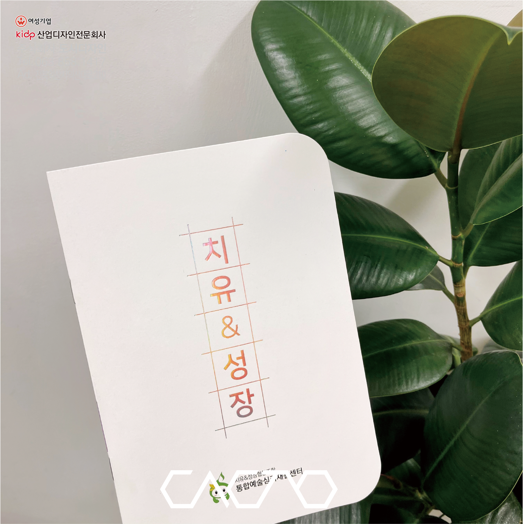 도무송 브로슈어